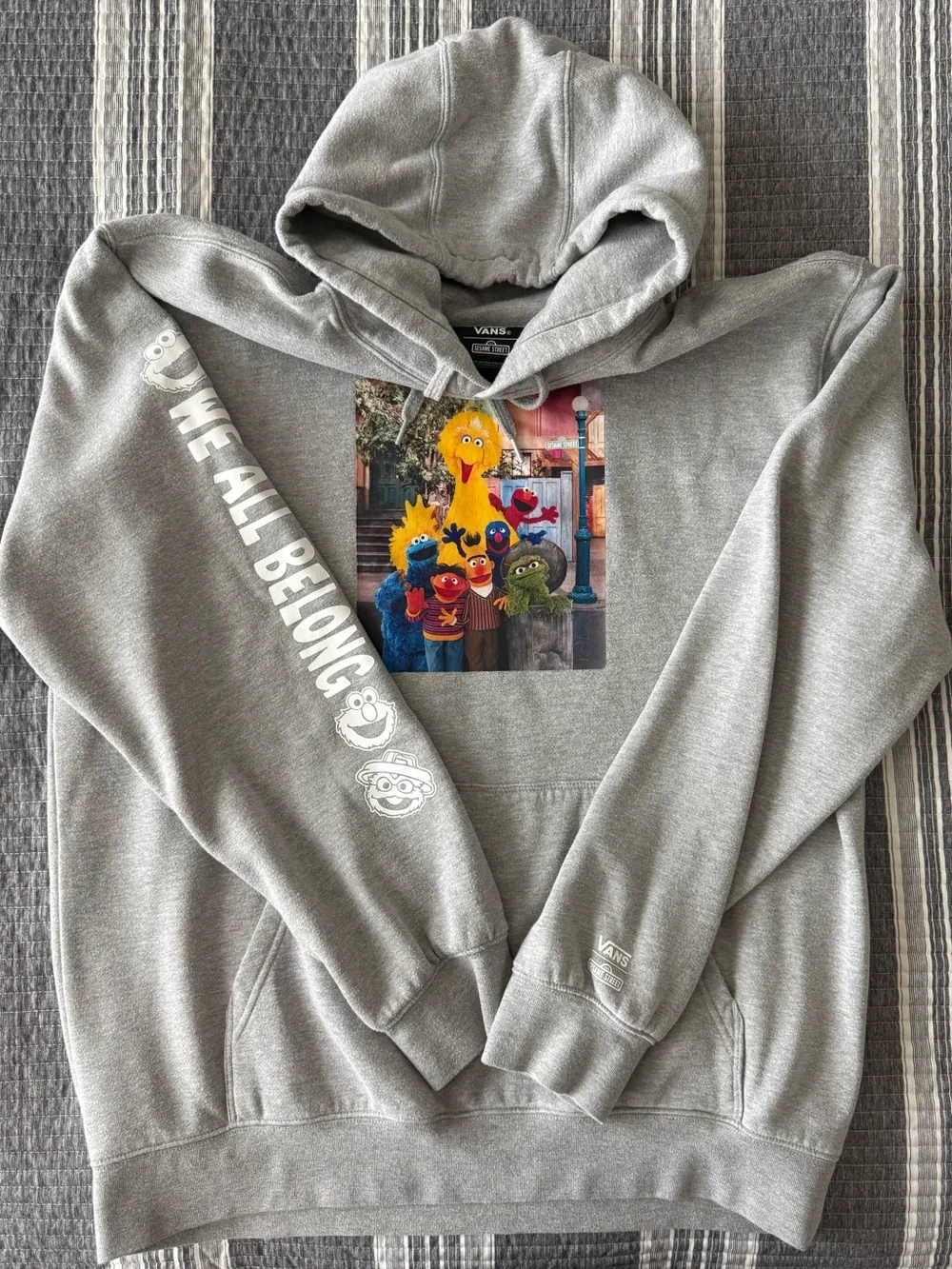 Vans Gray Sesame Street Graphic Hoodie with Character Print - Picture 1 of 1